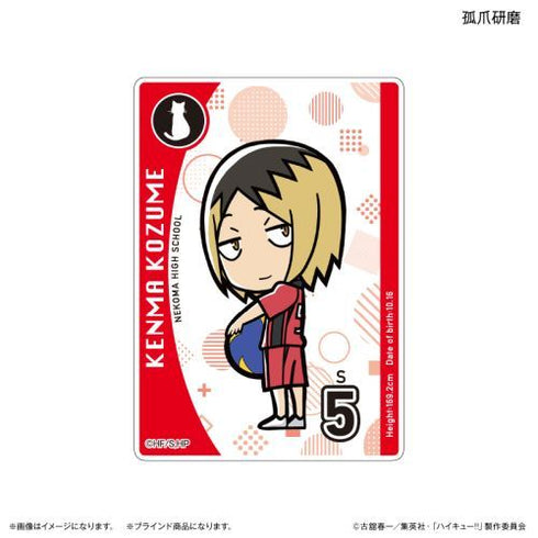 『ハイキュー!!』アクリルカード(ブラインド) 全10種 ※BOX用【202412再販】