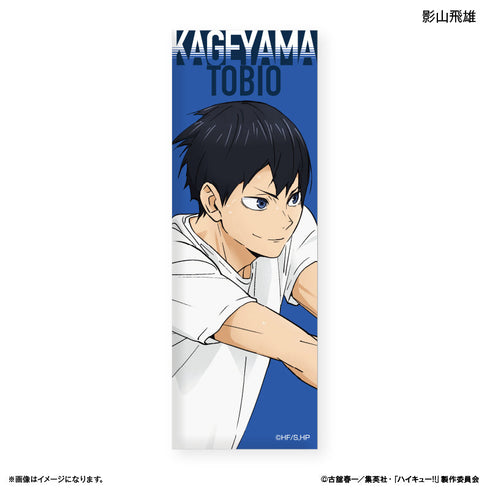 『ハイキュー!!』トレーディングロング缶バッジ -レシーブ-【BOX】