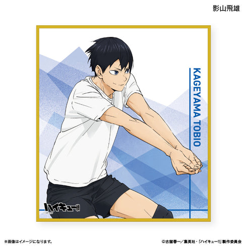 『ハイキュー!!』トレーディングミニ色紙 -レシーブ-【BOX】