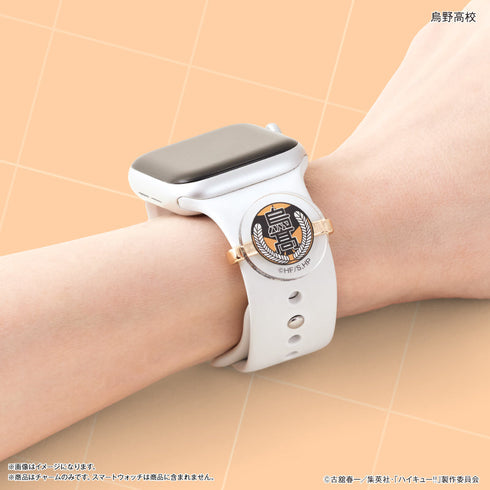 『ハイキュー!!』ハイキュー!! スマートウォッチチャーム 烏野高校・ヒナガラス