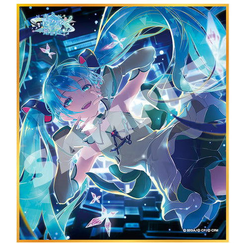 『プロジェクトセカイ カラフルステージ! feat.初音ミク』ミニ色紙コレクション 第49弾C キミと、セカイの始まりで【BOX】