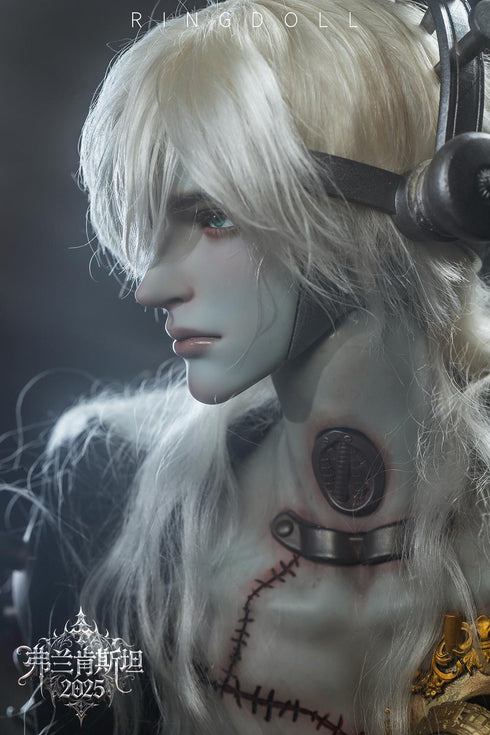 『Science Fantasy(サイエンスファンタジー)シリーズ』001_Ringdoll フランケンシュタイン 76cmボールジョイントドール(BJD)