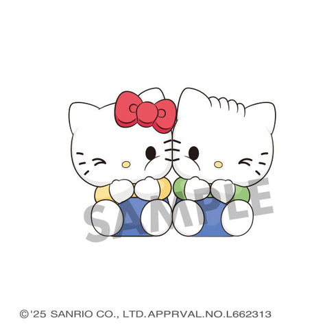 『サンリオキャラクターズ』ぴたきゅーと 4個入りBOX