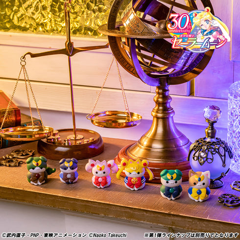 『美少女戦士セーラームーン』MEGA CAT PROJECT セーニャームーン 月にかわっておしおきニャ!2 BOX