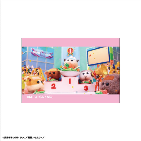 『PUI PUI モルカー』トレーディングスクエア缶バッジ BOX