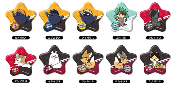 『ハイキュー!!』Hoshi-CANバッジ BOX