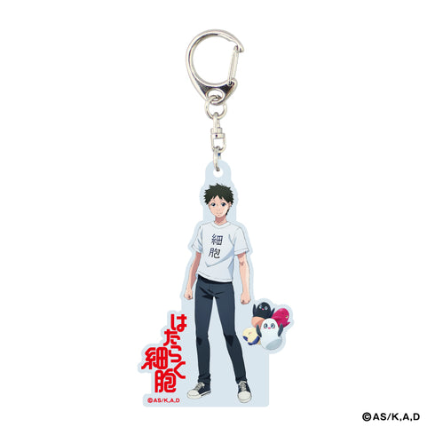 『はたらく細胞』アクリルキーホルダー<一般細胞&乳酸菌>