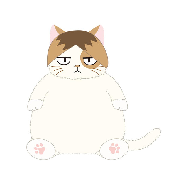 《排球少年!!》猫咪肯定感 健马猫