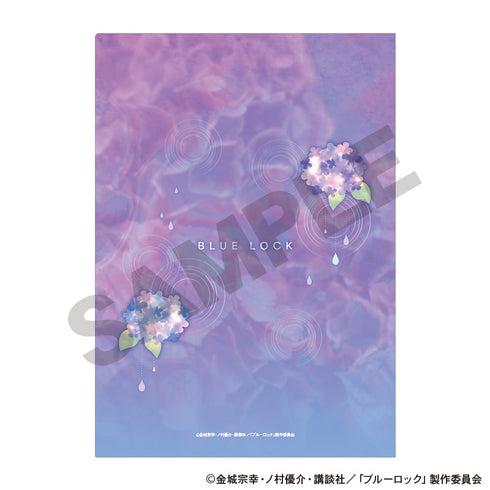 『ブルーロック』シングルクリアファイル 五月雨 ニュアンスカラー 紫