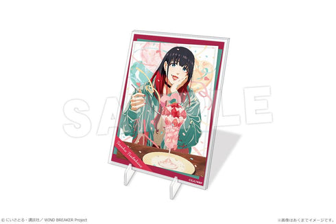 『WIND BREAKER』パネルスタンドmini 10 椿野佑【202509再販】