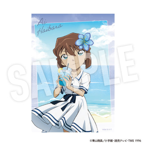 『名探偵コナン』クリアフォトカードセット Seaside