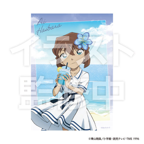 『名探偵コナン』クリアフォトカードセット Seaside