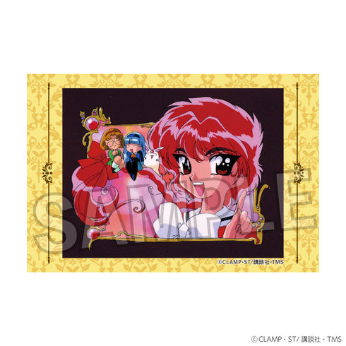 『魔法騎士レイアース』スタパネ ミニ 18【202501再販】