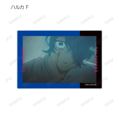 『MILGRAM -ミルグラム-』トレーディング MV アクリルカード ハルカ『全知全悩』(単位/BOX)【202601再販】