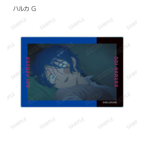 『MILGRAM -ミルグラム-』トレーディング MV アクリルカード ハルカ『全知全悩』(単位/BOX)【202601再販】