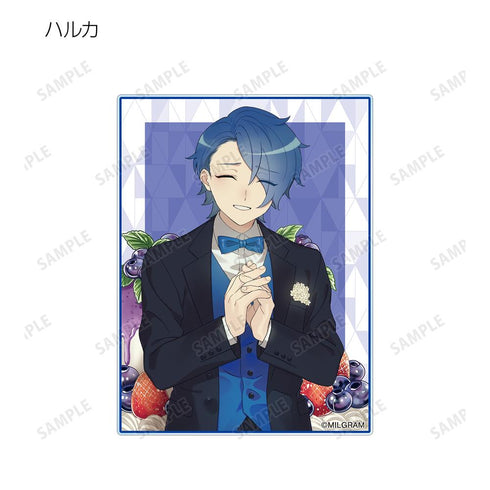 『MILGRAM -ミルグラム-』描き下ろしイラスト トレーディングアクリルカード(単位/BOX)【202601再販】