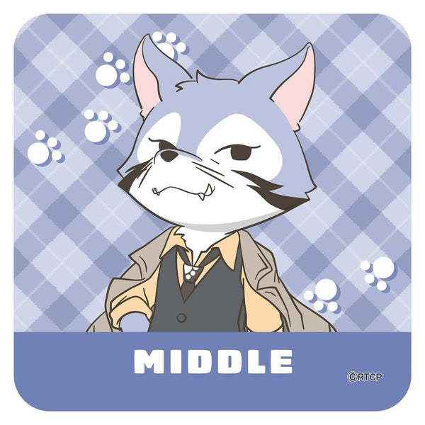 『あらいぐまカルカル団』ハンドタオル(ミドル)