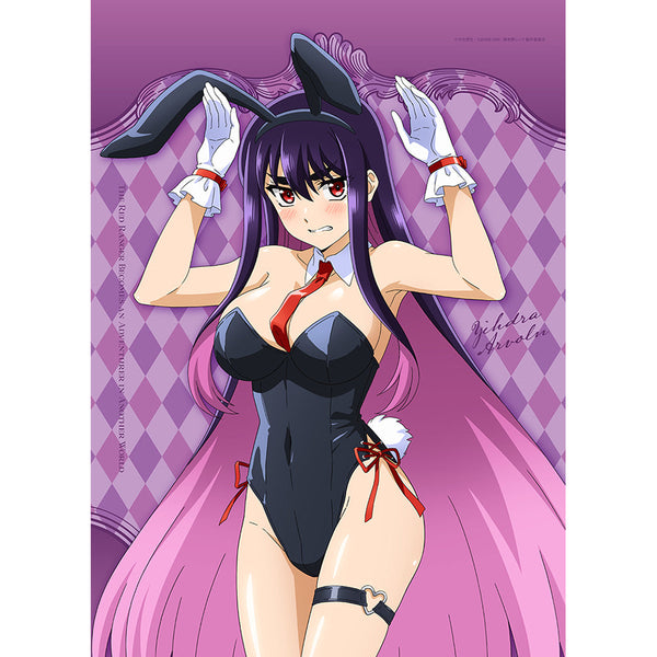 『戦隊レッド 異世界で冒険者になる』アニメ描き下ろしB2タペストリー (イドラ・アーヴォルン/バニー)Wスエード