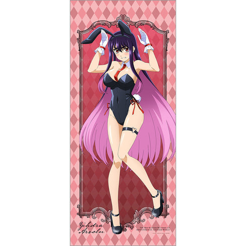 『戦隊レッド 異世界で冒険者になる』アニメ描き下ろし特大タペストリー (イドラ・アーヴォルン/バニー)