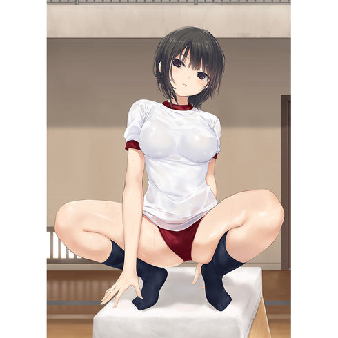 『珈琲貴族先生』描き下ろしB2タペストリー (青山澄香/跳び箱)Wスエード