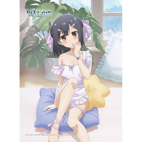 『Fate/kaleid liner プリズマ☆イリヤ Licht 名前の無い少女』描き下ろし B2タペストリー(美遊/エプロン)Wスエード