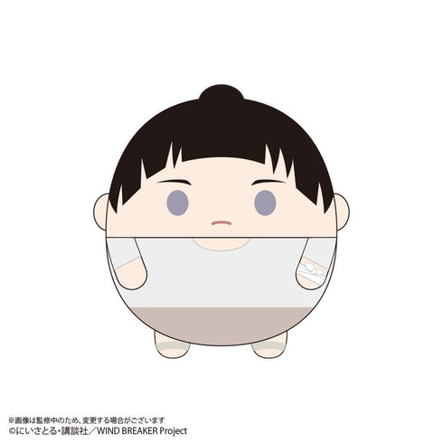 『WIND BREAKER』WB-19 ふわコロりん Msize3 F 硯秀平