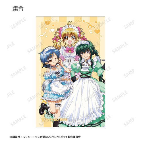 『ぴちぴちピッチ』描き下ろし メイドver. トレーディングイラストカード(単位/BOX)