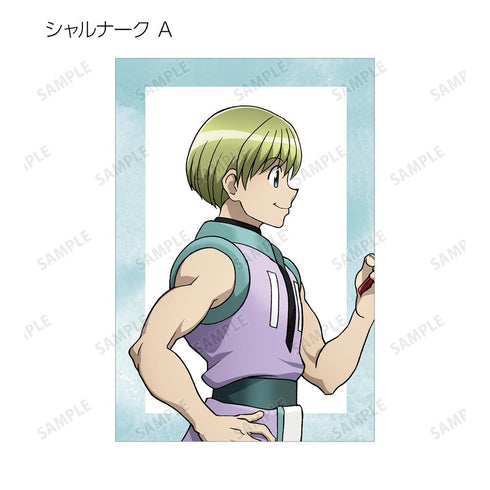 『HUNTER×HUNTER』描き下ろし 歩みver. トレーディングポストカード(単位/BOX)