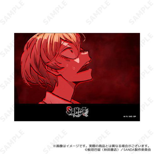 『SANDA』トレーディング場面写ブロマイド【BOX】