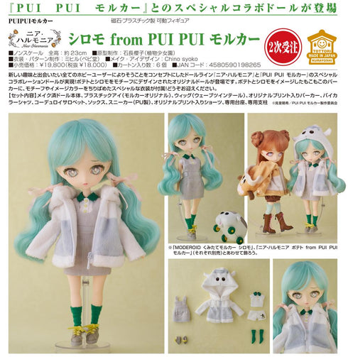 『PUI PUIモルカー』ニア・ハルモニア シロモ from PUIPUI モルカー【202410再販】