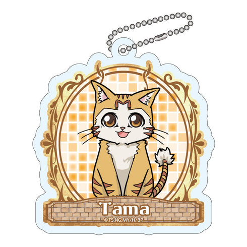 『Sランクモンスターの《ベヒーモス》だけど、猫と間違われてエルフ娘の騎士(ペット)として暮らしてます』トレーディングアクリルキーホルダー【BOX】