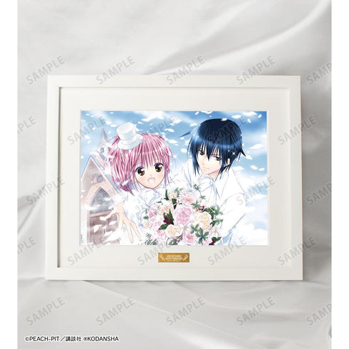 『しゅごキャラ!』日奈森あむ&月詠幾斗 キャラファイングラフ【202601再販】