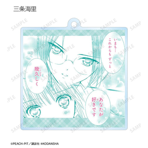 『しゅごキャラ!』トレーディング台詞アクリルキーホルダー vol.2(単位/BOX)【202601再販】