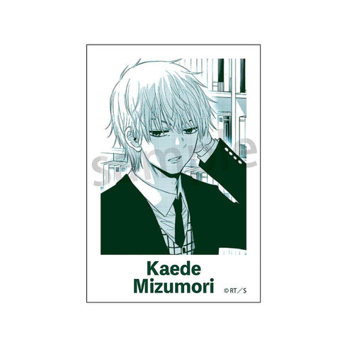 『COSMOS』フォトカード【BOX】