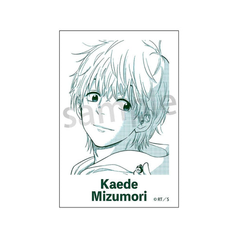 『COSMOS』フォトカード【BOX】