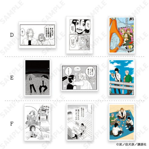 『君と宇宙を歩くために』フォトカコレクション【BOX】