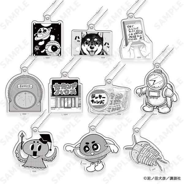 『君と宇宙を歩くために』アクキーコレクション B【BOX】