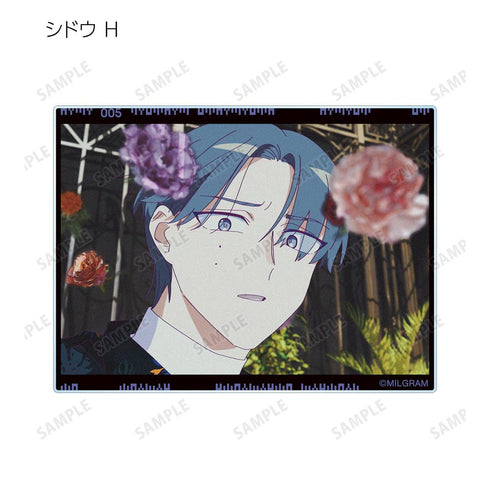 『MILGRAM -ミルグラム-』トレーディング MV アクリルカード シドウ 『スローダウン』(単位/BOX)【202601再販】