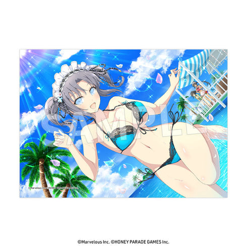 『閃乱カグラ』2L判ブロマイド Vol.3【BOX】