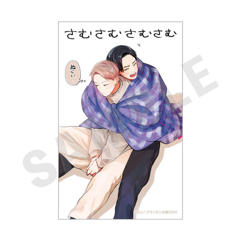 『青と碧』トレーディングカード【BOX】