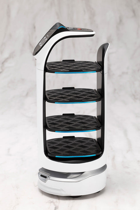 『PUDU』グランデスケール ベラボット