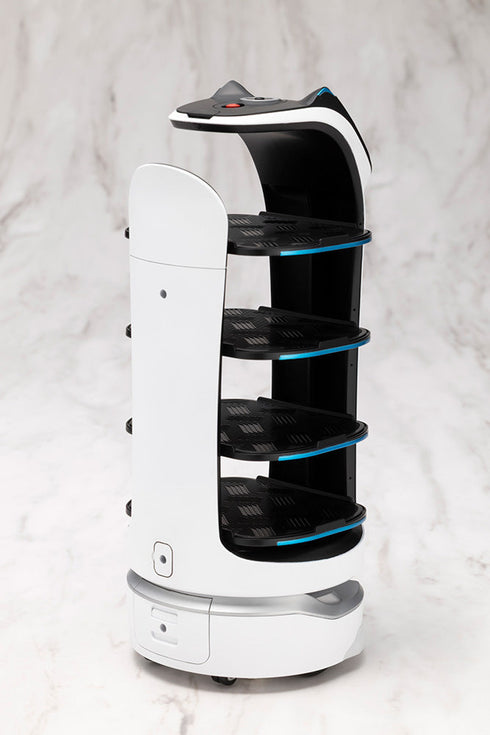 『PUDU』グランデスケール ベラボット