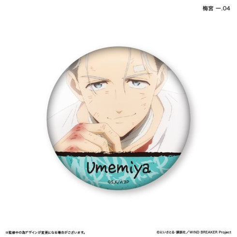 『WIND BREAKER』WIND BREAKER だけ缶 梅宮 一だけトレーディング缶バッジ 【全7種】(BOX)