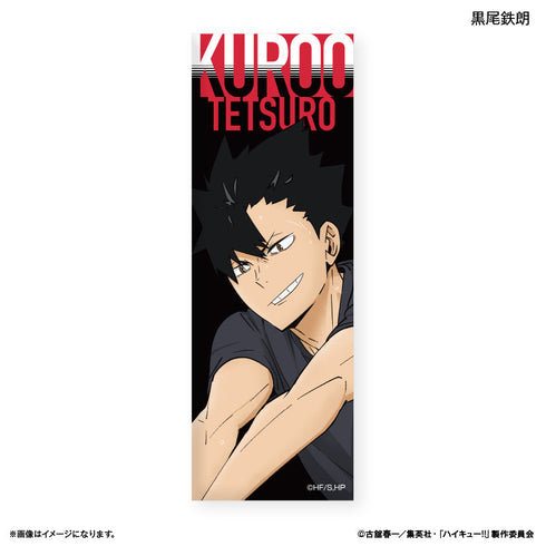 『ハイキュー!!』トレーディングロング缶バッジ -レシーブ-【BOX】