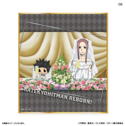 『家庭教師ヒットマンREBORN!』家庭教師ヒットマンREBORN! トレーディングミニ色紙 【全10種】(BOX)