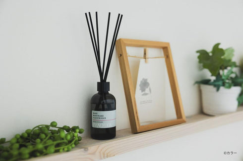 『エヴァンゲリオン』ルームディフューザー 真希波・マリ・イラストリアス-フルーティムスク-