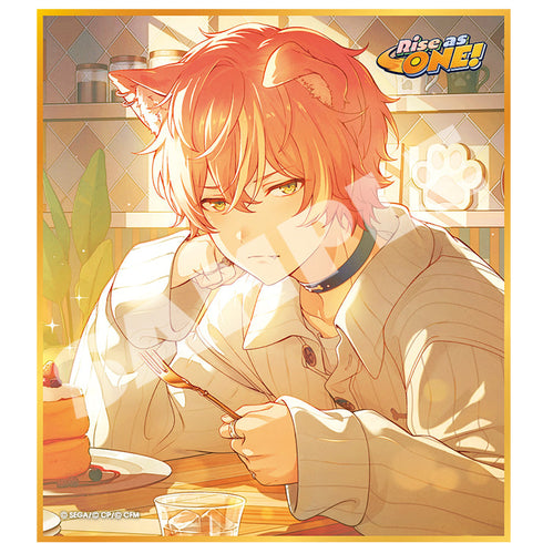 『プロジェクトセカイ カラフルステージ! feat.初音ミク』ミニ色紙コレクション 第45弾 A Rise as ONE!【BOX】