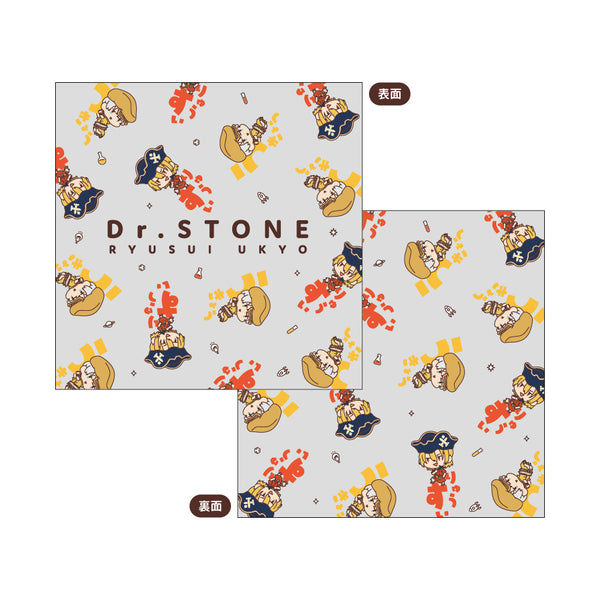 『Dr.STONE』おなまえぴたんコ スクエアミニクッション C:龍水&羽京