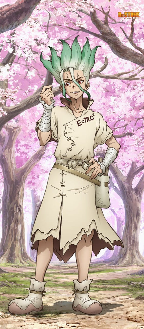 『Dr.STONE』【描き下ろし】BIGタペストリー 石神千空(桜)