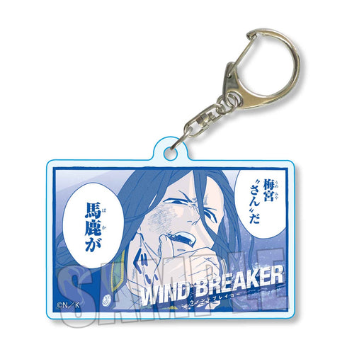 『WIND BREAKER』收藏记忆钥匙扣礼盒